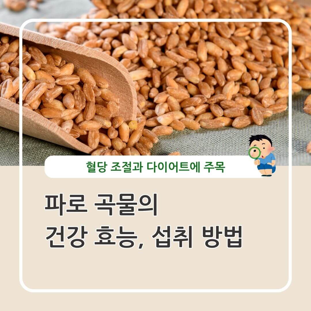 파로 곡물의 효능