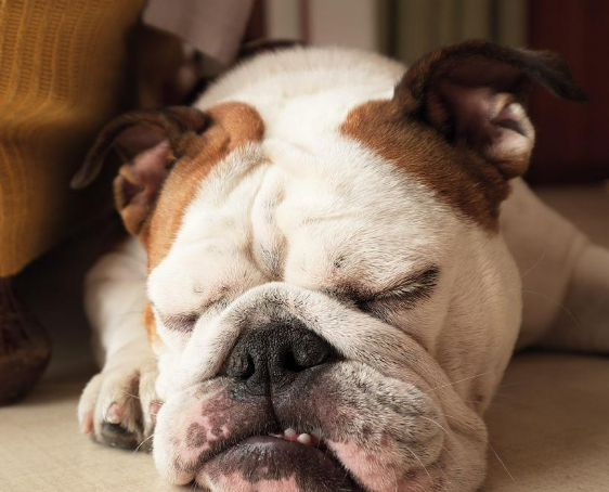 눈꺼풀 떨림 마그네슘 부족이라고 해서&amp;#44; 마그랑비 연질캡슐 먹어봤거든요?