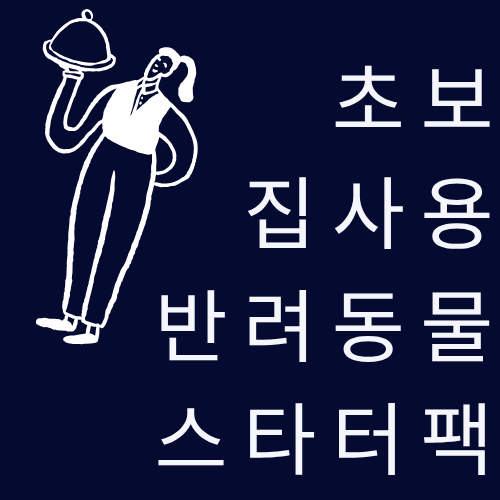 초보 집사용 반려동물 스타터팩 &ndash; 이건 꼭 사야 해요!