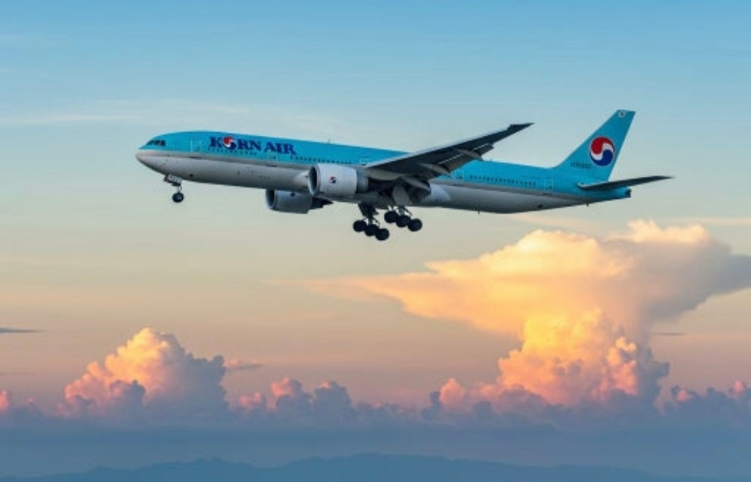 비행중인 대한항공 비행기사진