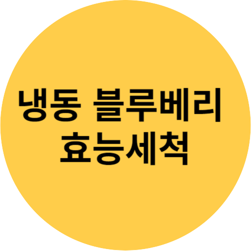 냉동 블루베리 효능