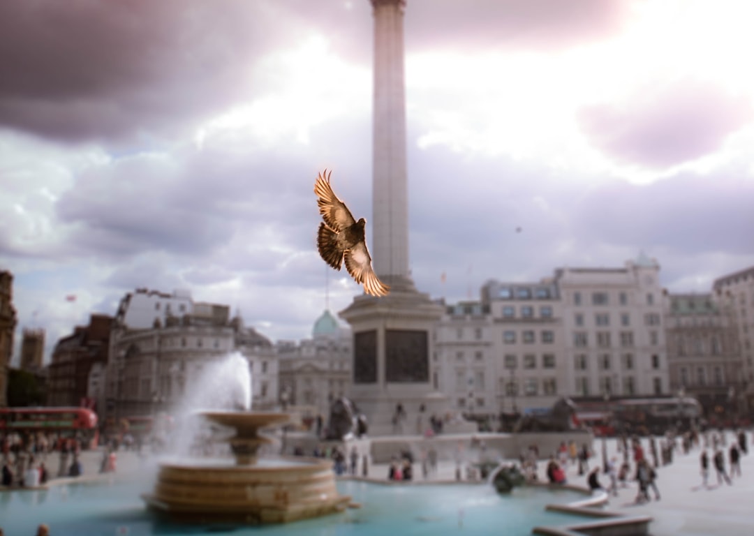 Fountain.