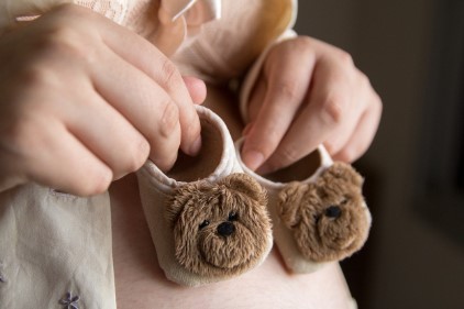 영양플러스 사업