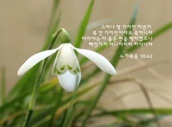 매일성경묵상과 실천(누가복음 10장 25-42절) 누가 내 참된 이웃입니까?_4