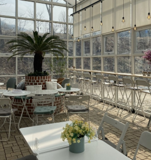 샤스타데이지 카페명소 BEST 5곳