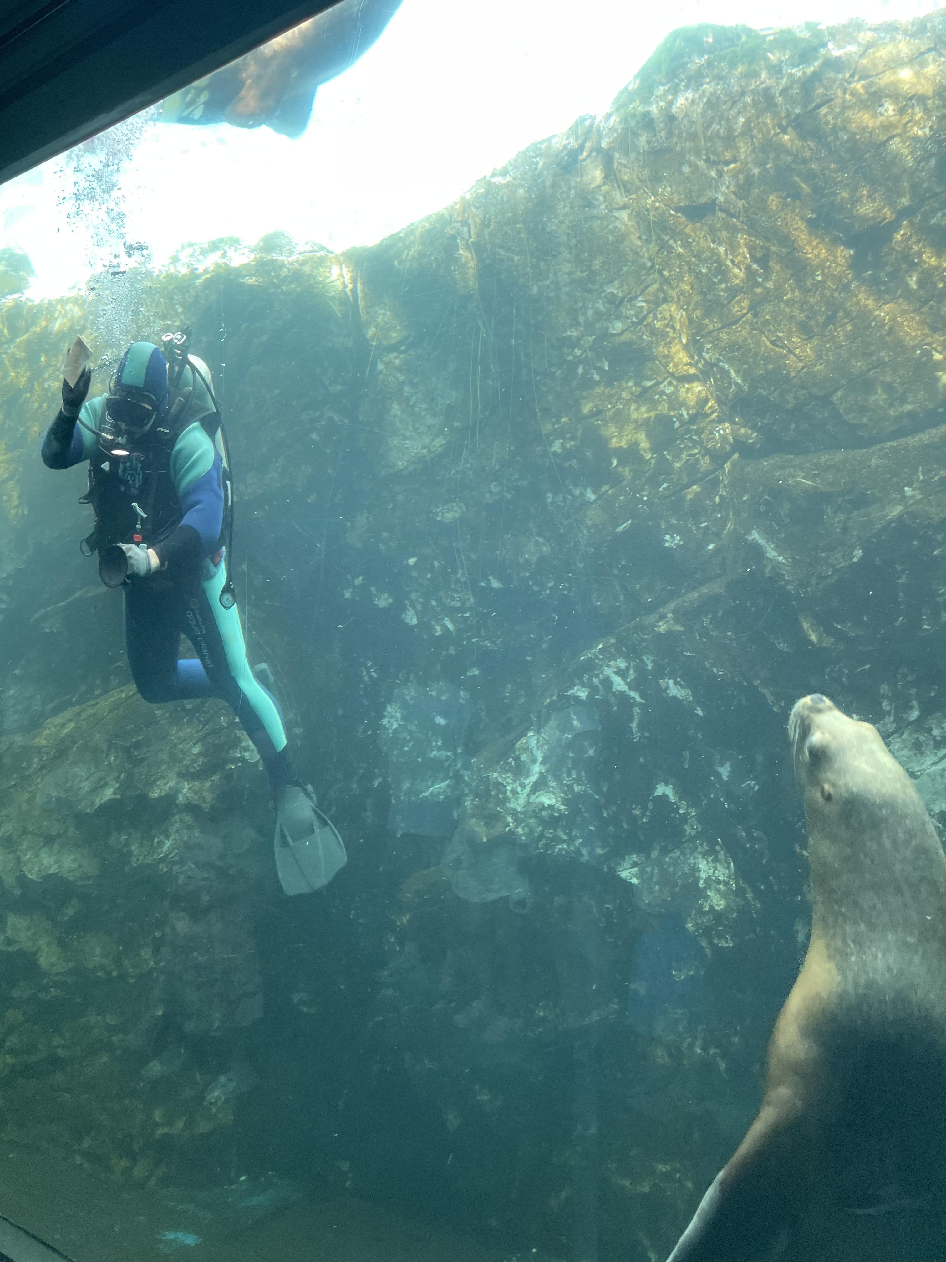 여수 아쿠아플라넷