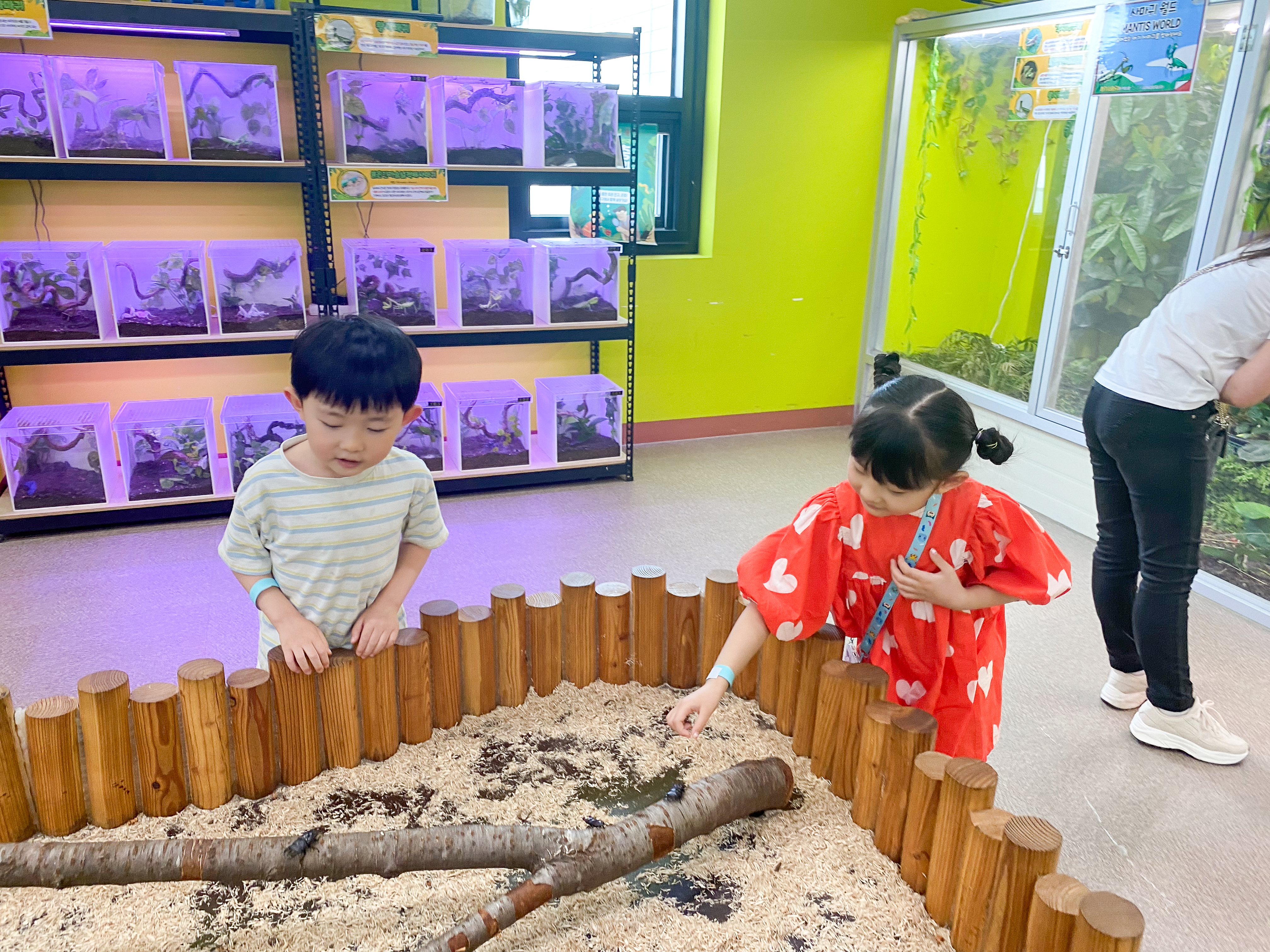 장수풍뎅이 만져보기