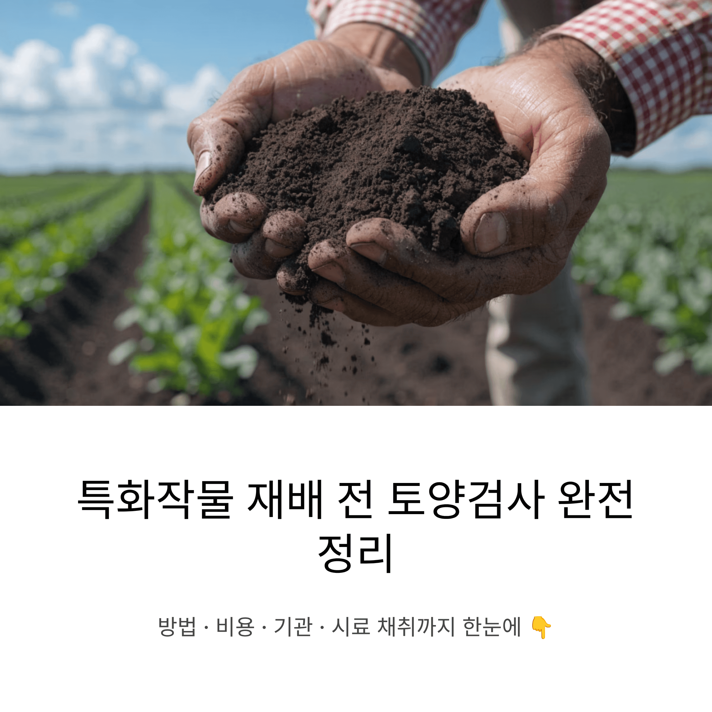 특화작물 재배를 시작하기 전 반드시 알아야 할 토양검사 방법 비용 기관 총정리
