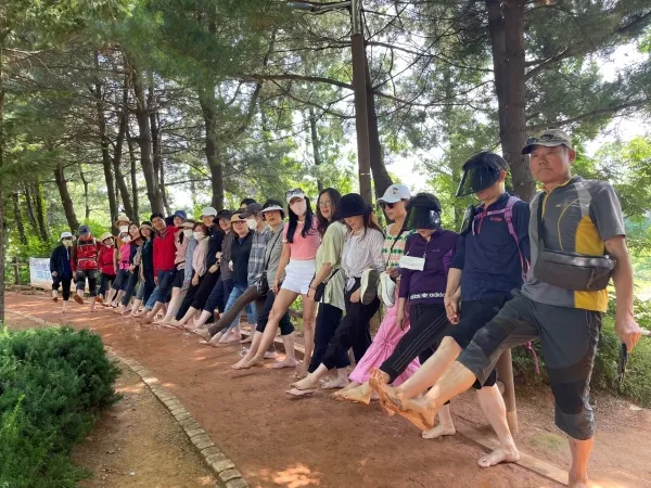 황토길 맨발걷기 효능 부작용 무좀_7