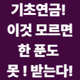기초연금 ! 이것 모르면 한 푼도 못받는다!