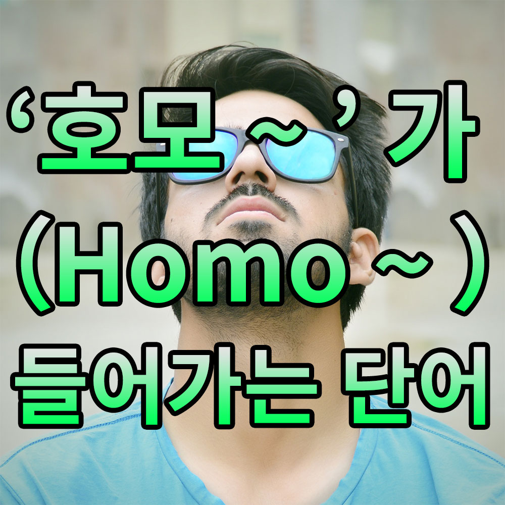 호모단어모음