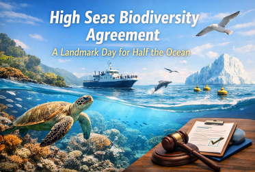 공해 생물다양성 협정 발효