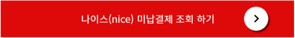 나이스 페이 결제조회