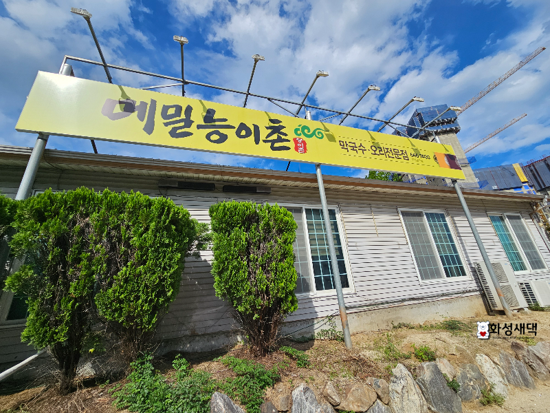 강릉-메밀능이백숙