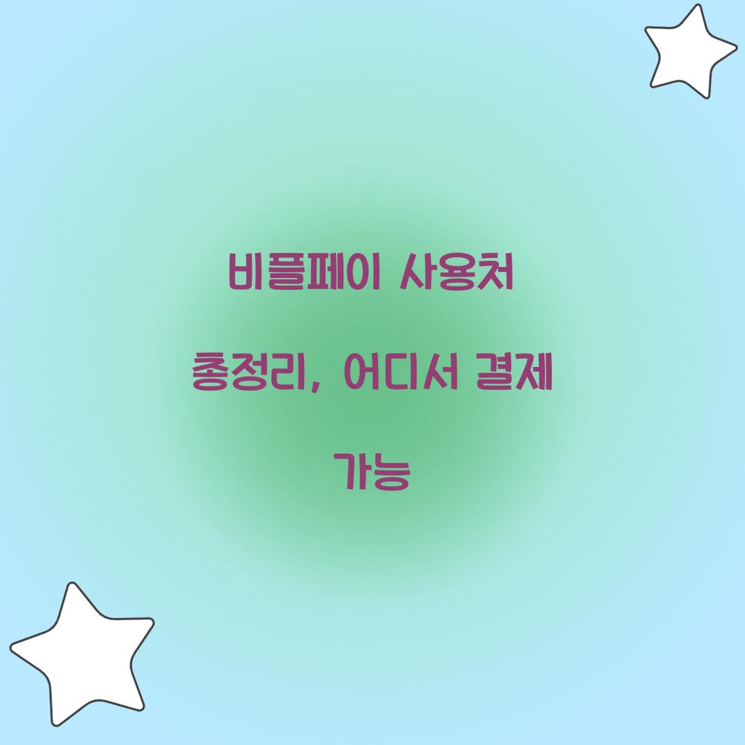 비플페이 사용처