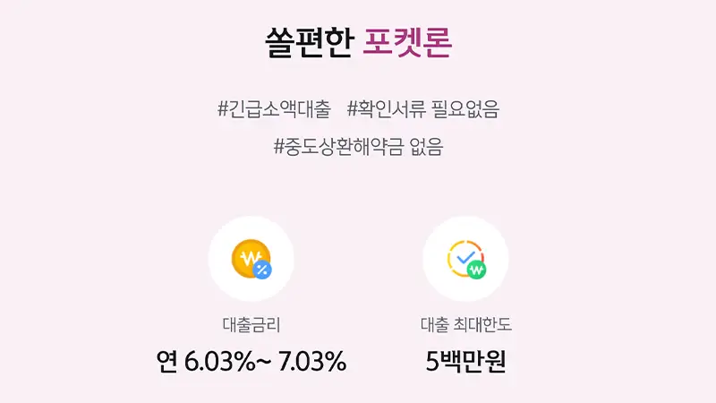 신한은행 쏠편한 포켓론 소액 새희망홀씨