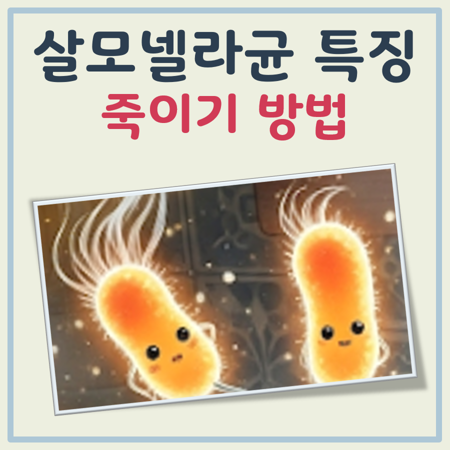 살모넬라균 죽이기 특징