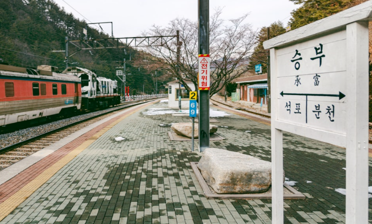 백두대간 협곡열차