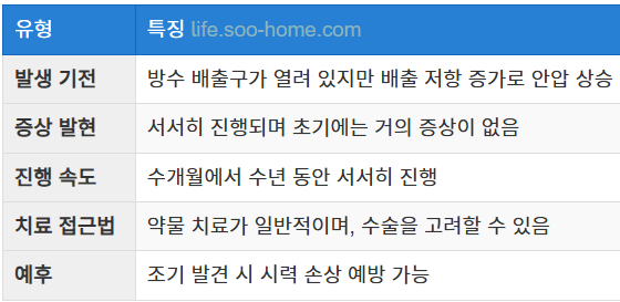 개방각 녹내장