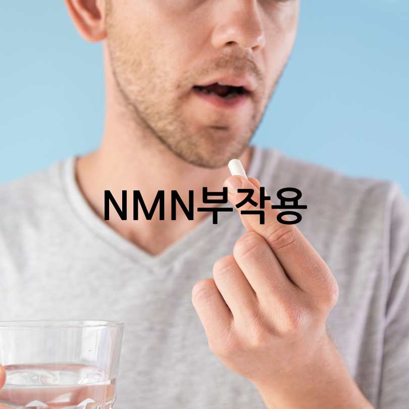 NMN영양제