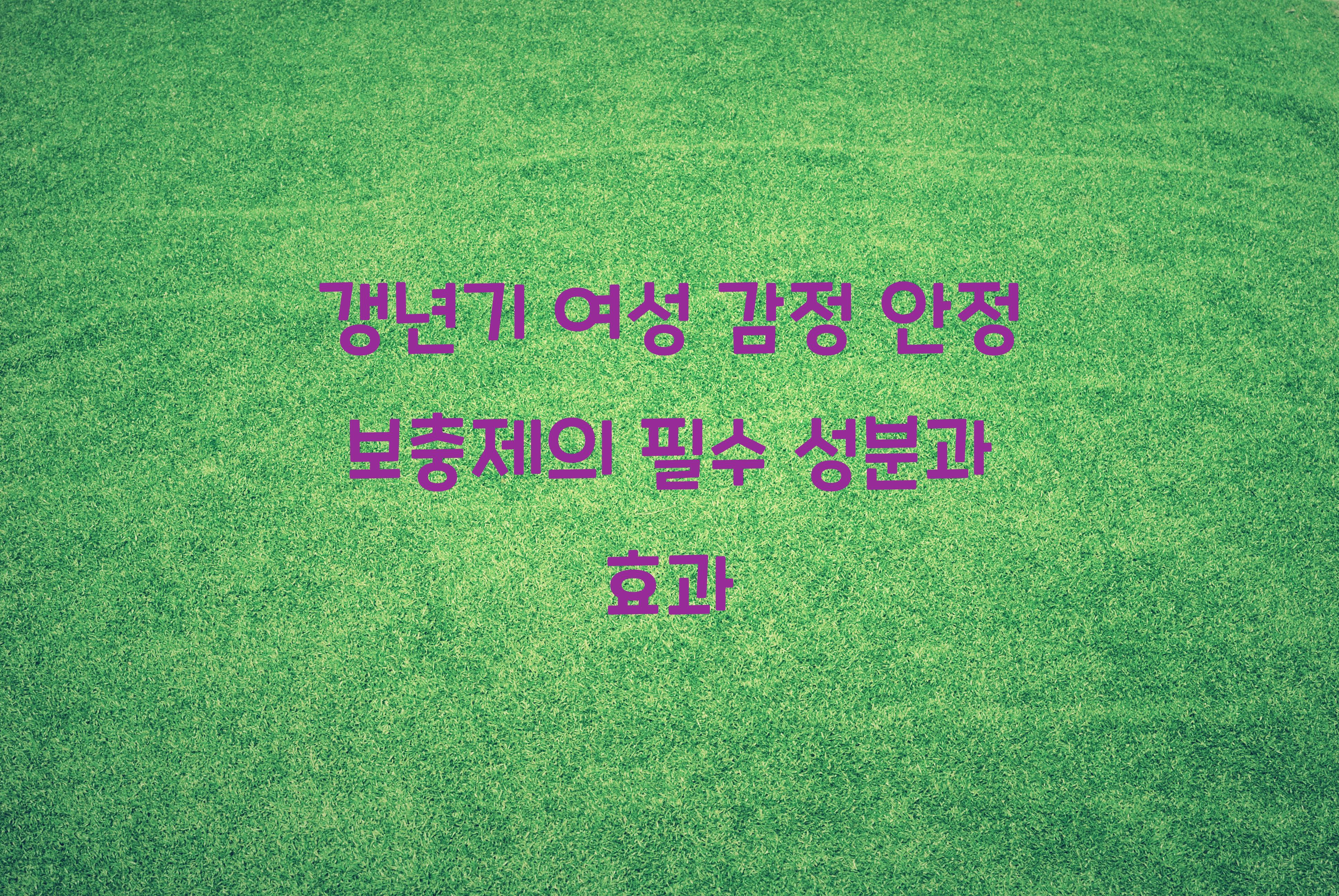 갱년기 여성 감정 안정 보충제