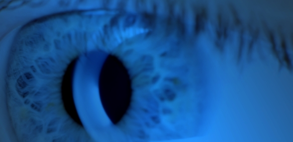 시니어 루테인 효과 5가지, 의사도 권하는 눈 영양제는?