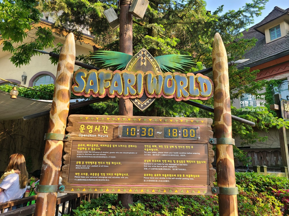 에버랜드 사파리 월드 꿀팁 (예약, 트램 좌석), 자유이용권 할인