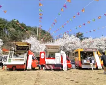 인제 가을꽃축제_20