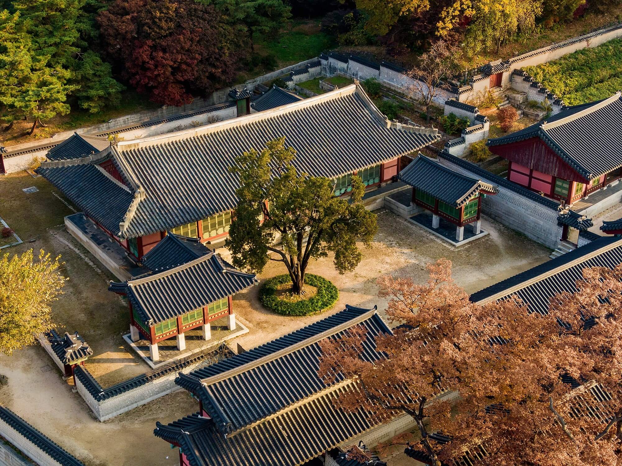 창덕궁 약방 개방 오미자차 시음