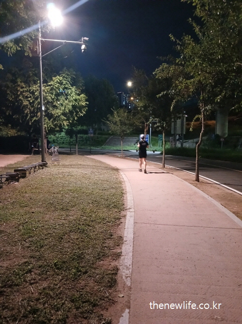 한강공원에서 야간 조깅 중인 사람-조깅 효과-체지방 감소 및 체중 관리