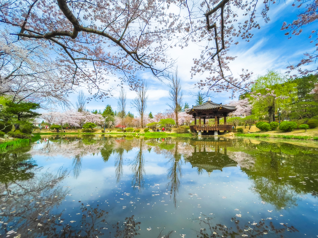 Anapji pond in a perfect spring day