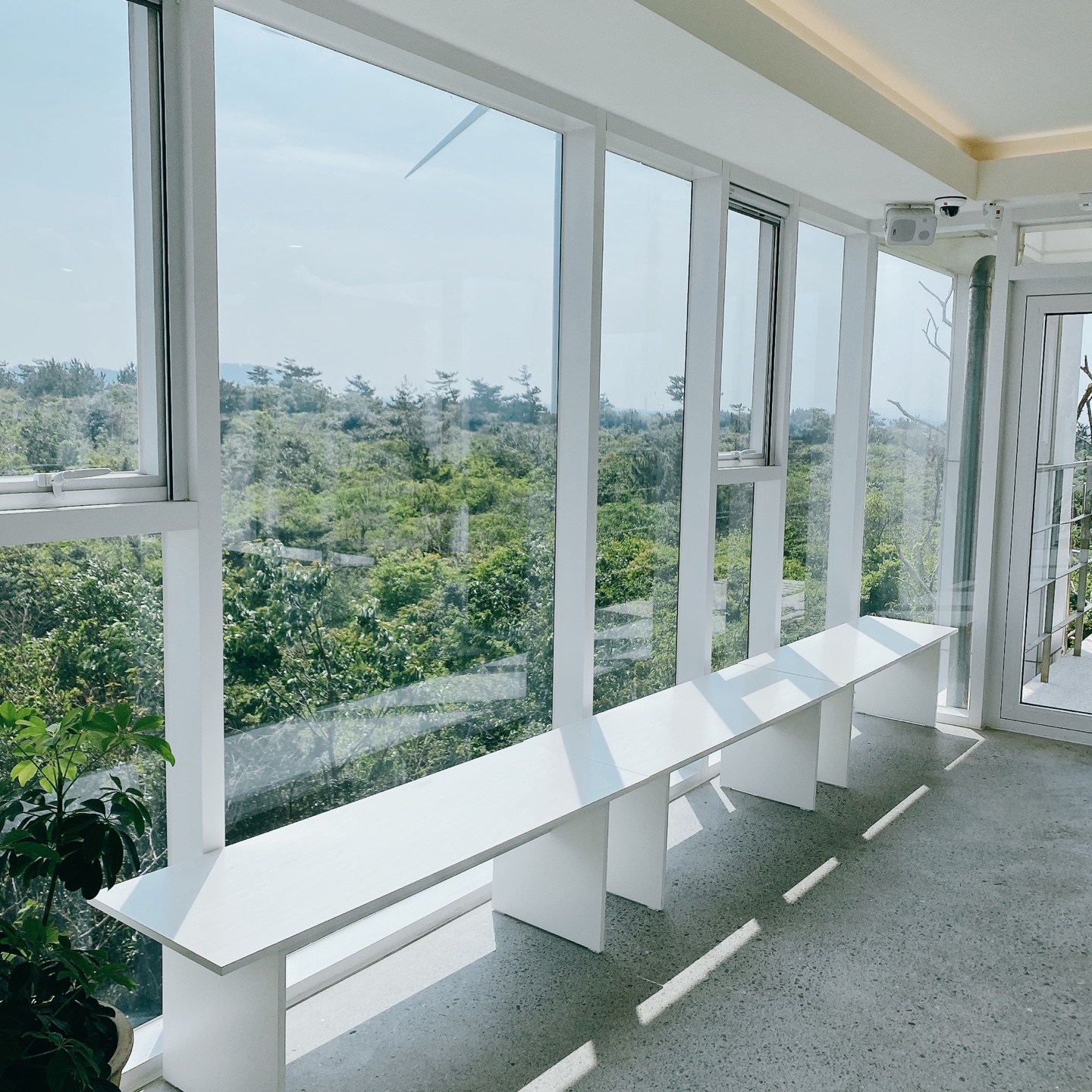 제주 구좌 김녕해수욕장 카페 델문도 김녕점