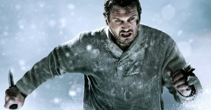 더 그레이(The Grey)