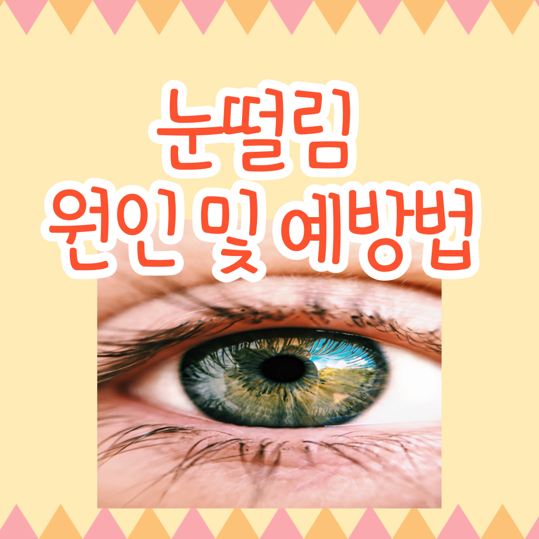 눈떨림 원인