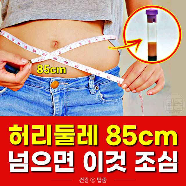 허리둘레 85cm 33인치 내장지방 복부비만,팁줌