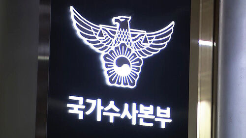 국가수사본부장 역할