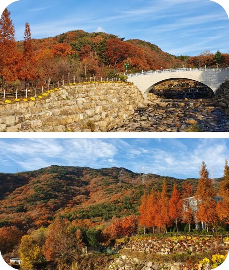 부산-화명수목원-빨강-노랑-가을-단풍-명소-항공뷰