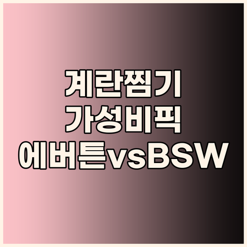 에버튼하우스 BSW 계란찜기 비교 가..