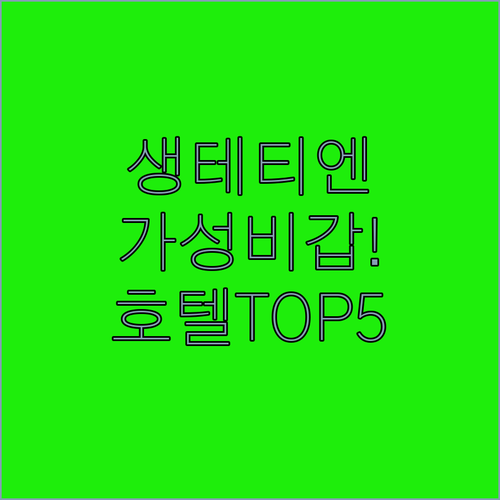 프랑스 생테티엔 호텔 베스트 5 가성..