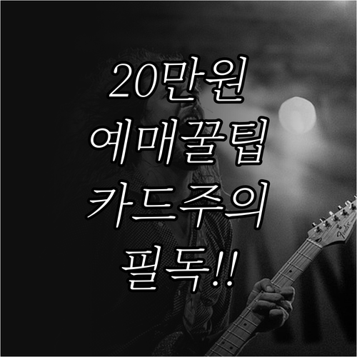 서울청년문화패스 공연 예매 방법과 전..