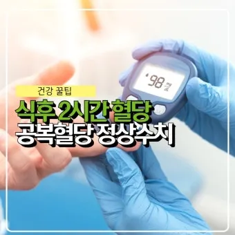 식후 혈당 정상수치를 정리_24