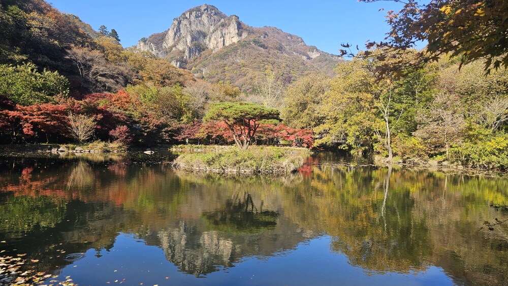 전북 정읍 백양사 가을 트레킹 : 늦가을 단풍 산책코스 &amp; 백학봉 포토존 추천