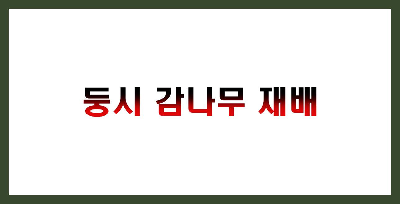 둥시 감나무 재배