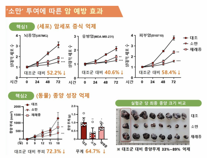 소만콩의 항산화 및 항암 성분 이미지