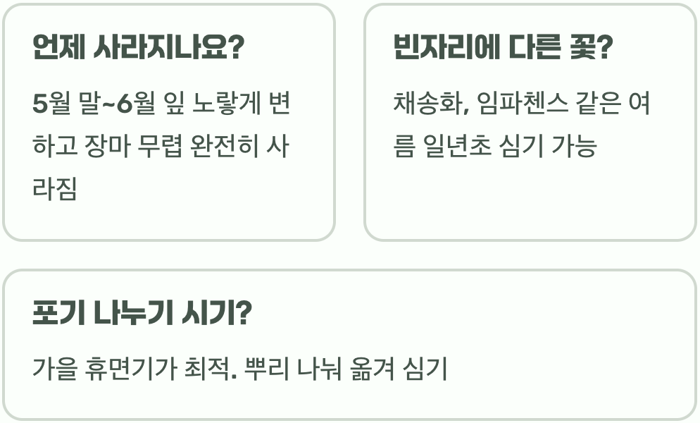 여름이면 사라지는 금낭화, 죽은 걸까요? 휴면의 비밀
