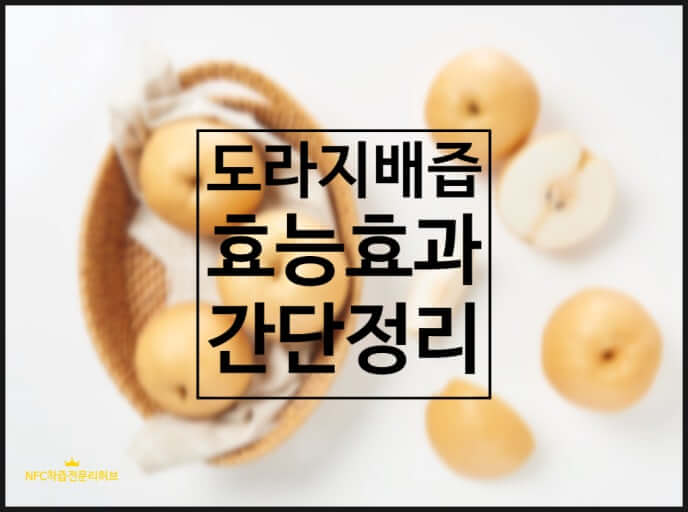 도라지 배즙의 효능과 복용 방법, 주의 사항