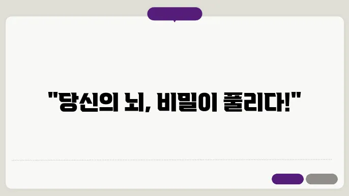 신경과학의 발전: 뇌의 구조와 기능
