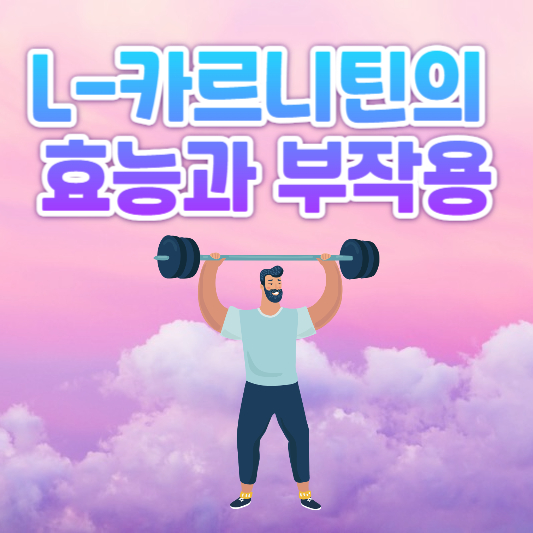 L-카르니틴