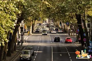 신차구입자동차담보대출조건