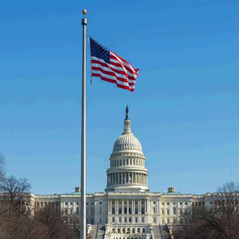 맑은 파란 하늘 아래 워싱턴 D.C.의 미국 국회의사당(US Capitol) 전경이 보이고, 전경 왼쪽에는 **성조기(American flag)**가 펄럭이고 있다